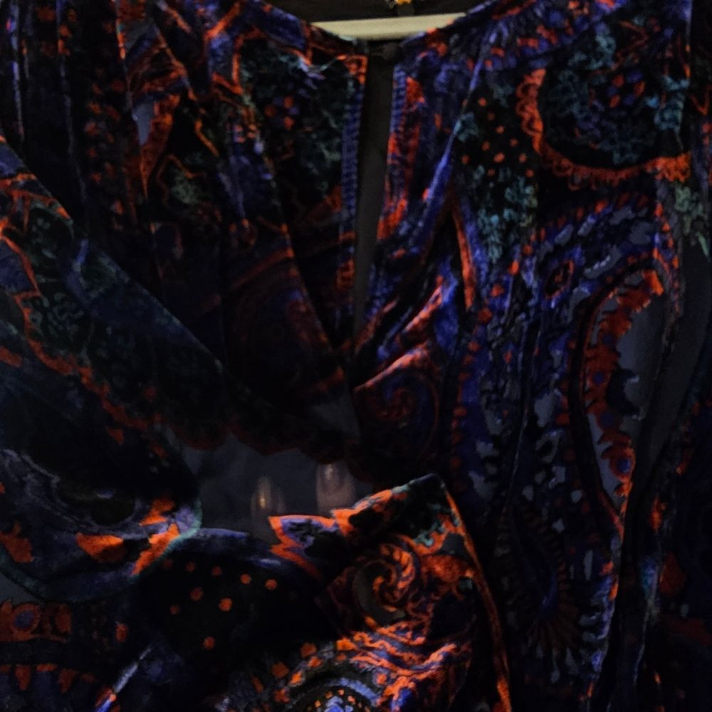 Anthropologie Paisley Velvet Burnout Long Sleeve Dress - Picture 4 of 11
